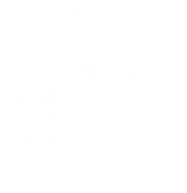 3DX Icon